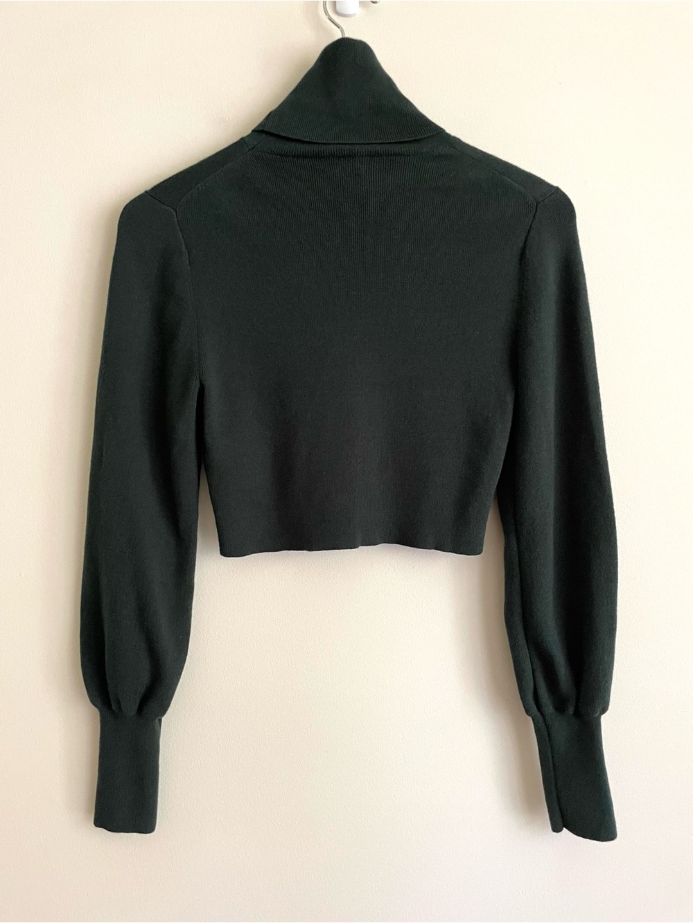 Aritzia Wilfred Rebecca Wool Cotton Cropped Knit Turtleneck Sweater in Scarab - Picture 6 of 12